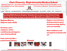 Tablet Screenshot of finnertyhockey.com